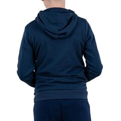 Džemperis champion legacy hooded sweatshirt 305975bs503 305975BS503 цена и информация | Свитеры, жилетки, пиджаки для мальчиков | 220.lv