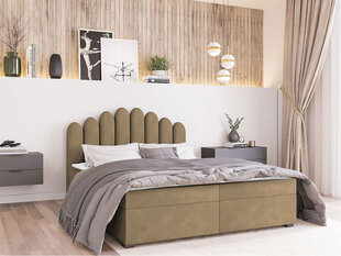 Кровать Beretini 180x200см, светло-коричневая цена и информация | Кровати | 220.lv