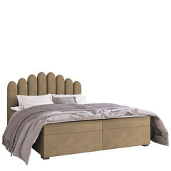 Кровать Beretini 160x200см, светло-коричневая цена и информация | Кровати | 220.lv
