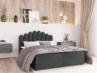 Кровать Beretini 160x200см, темно-серая цена и информация | Кровати | 220.lv