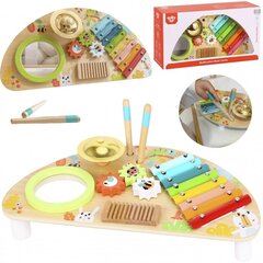 Daudzfunkcionāls instruments - Tooky Toy цена и информация | Игрушки для малышей | 220.lv