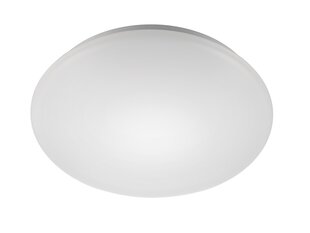 LED griestu lampa G.LUX GW-CP-LED-12W cena un informācija | Griestu lampas | 220.lv