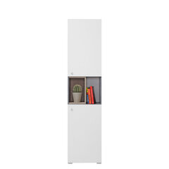 Шкаф Sigma 2D, белый/серый цвет цена и информация | Шкафчики в гостиную | 220.lv