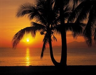 Foto tapetes Palmy Beach Sunrise cena un informācija | Fototapetes | 220.lv