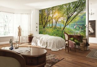 Foto tapetes Spring Lake цена и информация | Фотообои | 220.lv