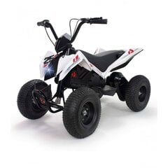 Электрический квадроцикл X-Treme для детей, белый цена и информация | Электромобили для детей | 220.lv