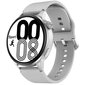 DT4 Grey cena un informācija | Viedpulksteņi (smartwatch) | 220.lv