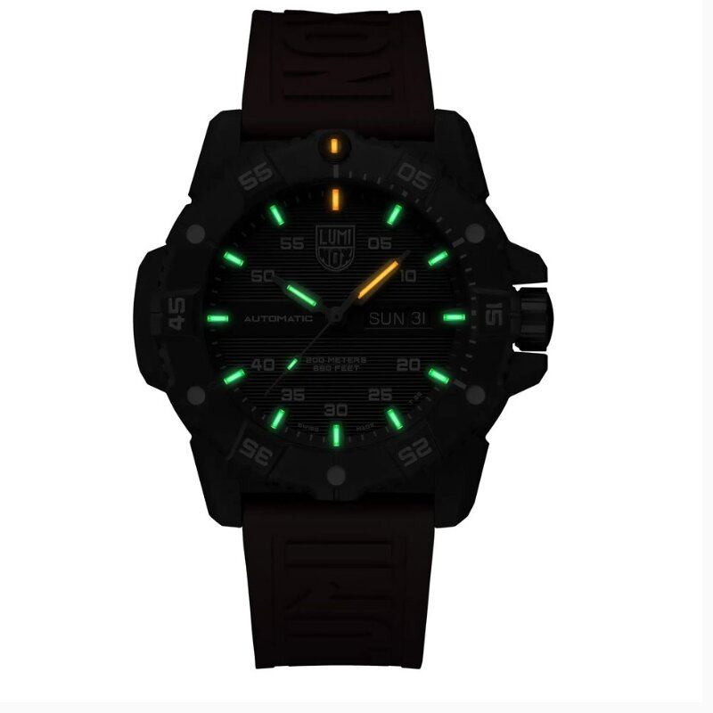 Vīriešu pulkstenis Luminox Master Carbon SEAL Automatic XS.3875 cena un informācija | Vīriešu pulksteņi | 220.lv