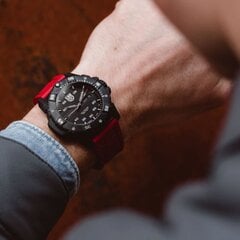 Luminox Master Carbon SEAL Automatic XS.3875 XS.3875 цена и информация | Мужские часы | 220.lv