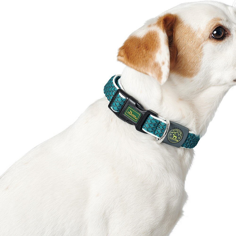 Hunter Basic suņu kaklasiksna, sarkana, 33-50 cm cena un informācija | Apkakles, siksnas suņiem | 220.lv