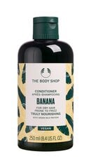 Barojošs matu kondicionieris The Body Shop Banana, 250 ml цена и информация | Бальзамы, кондиционеры | 220.lv