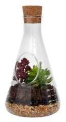 Террариум для растений 12 x 22,5 см стекло прозрачное 5 частей - цена и информация | Вазоны | 220.lv