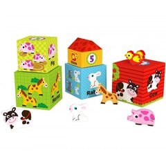 Деревянные кубики с фигурками - Woopie Green цена и информация | Игрушки для малышей | 220.lv
