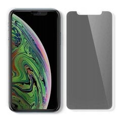 Aizsargplēve Spigen Iphone 11 cena un informācija | Ekrāna aizsargstikli | 220.lv