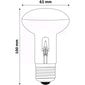 Halogēna spuldze R63 42W E27 AVIDE cena un informācija | Spuldzes | 220.lv
