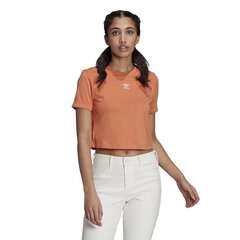 T-SHIRT ADIDAS ORIGINALS CROP TOP GN2805 цена и информация | Футболка женская | 220.lv