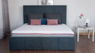 Кровать "Stef" Серая с подъёмным механизмом (сп.м. 1600 x 2000) цена и информация | Кровати | 220.lv