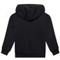 Džemperis champion legacy hooded sweatshirt 305916kk001 305916KK001 cena un informācija | Zēnu jakas, džemperi, žaketes, vestes | 220.lv