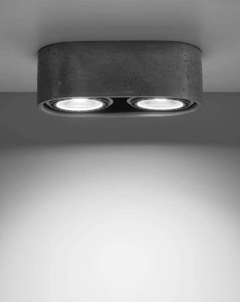„Lampa Basic 2“ betona cena un informācija | Griestu lampas | 220.lv