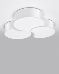„Lampa Circle 3B balta“ цена и информация | Потолочный светильник | 220.lv