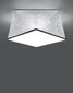 „Lampa Hexa 25“ sudraba cena un informācija | Griestu lampas | 220.lv