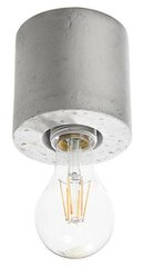 „Lampa Salgado“ betona цена и информация | Потолочные светильники | 220.lv