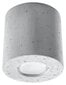 Lampa betona cena un informācija | Griestu lampas | 220.lv