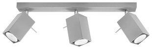 Lampa MERIDA 3 pelēka cena un informācija | Griestu lampas | 220.lv