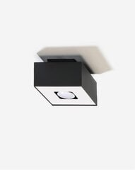 Lampa mono 1 melns цена и информация | Потолочные светильники | 220.lv