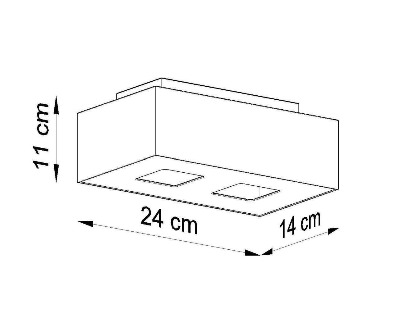 Lampa mono 2 balta cena un informācija | Griestu lampas | 220.lv