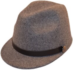 Шляпа цена и информация | Женские шапки | 220.lv