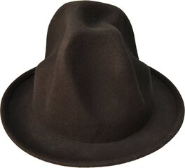 Классическая мягкая шляпа цена и информация | Мужские шарфы, шапки, перчатки | 220.lv