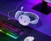 Austiņas SteelSeries Arctis Nova 1, baltas цена и информация | Austiņas | 220.lv