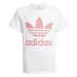 T-krekls adidas originals trefoil tee gn8213 cena un informācija | Krekli, bodiji, blūzes meitenēm | 220.lv