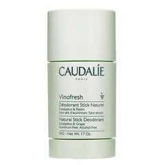 Дезодорант-карандаш Caudalie Vinofresh, 50 г цена и информация | Дезодоранты | 220.lv