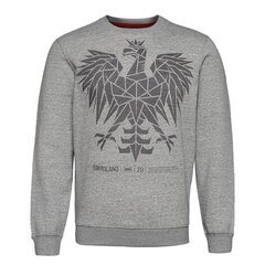 HOODIE MONOTOX EAGLE CN GREY MX21032 цена и информация | Мужские толстовки | 220.lv