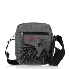 BAG MONOTOX DAVE TEAM POLAND GREY MX20021 цена и информация | Рюкзаки и сумки | 220.lv