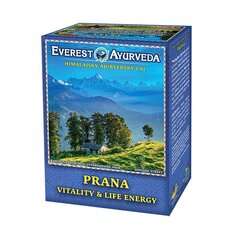 Гималайский рассыпной чай Everest Ayurveda Prana, 100 г цена и информация | Чай | 220.lv