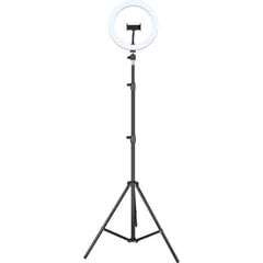 Selfiju gredzena lampa Iggual IGG317242 Ø 25 cm цена и информация | Осветительное оборудование для фотосъемок | 220.lv