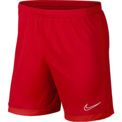 Vīriešu šorti Nike Dri-FIT Academy red aJ9994 657 цена и информация | Мужская спортивная одежда | 220.lv