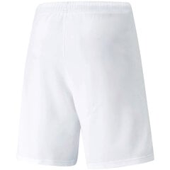 Vīriešu šorti Puma teamRISE Short white 704942 03 цена и информация | Мужская спортивная одежда | 220.lv