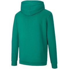 Vīriešu džemperis Puma teamGOAL 23 Cēloņsakarības zaļas 656580 05 cena un informācija | Vīriešu jakas | 220.lv
