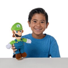 SUPER MARIO plīša rotaļlieta, 22 cm cena un informācija | Rotaļlietas zēniem | 220.lv