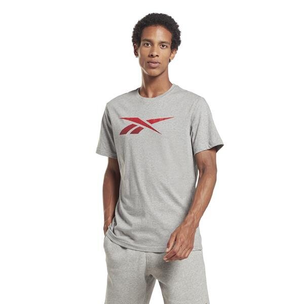 T-krekls reebok ri logo tee hr9032 cena un informācija | Vīriešu T-krekli | 220.lv