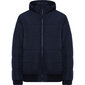 Vīriešu jaka SURGUT tumši zila cena un informācija | Vīriešu jakas | 220.lv