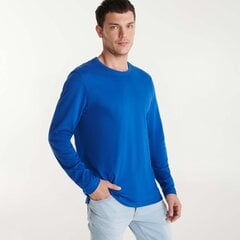 Мужская футболка Extreme, синяя цена и информация | Мужские футболки | 220.lv