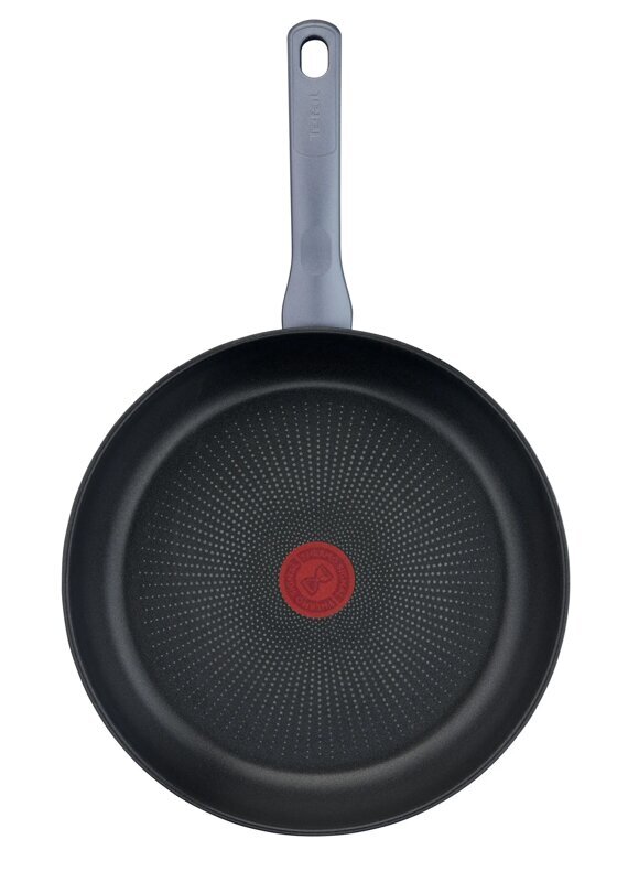 Panna Tefal Daily Cook G7300455 frying pan All-purpose pan Round цена и информация | Katli, tvaika katli | 220.lv