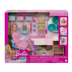 Кукла Mattel GJR84 цена и информация | Игрушки для девочек | 220.lv