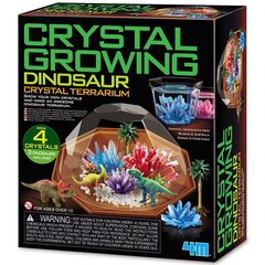 Кристаллический террариум с динозаврами Crystal Cultivation 4M цена и информация | Развивающие игрушки | 220.lv