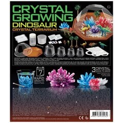 Кристаллический террариум с динозаврами Crystal Cultivation 4M цена и информация | Развивающие игрушки | 220.lv